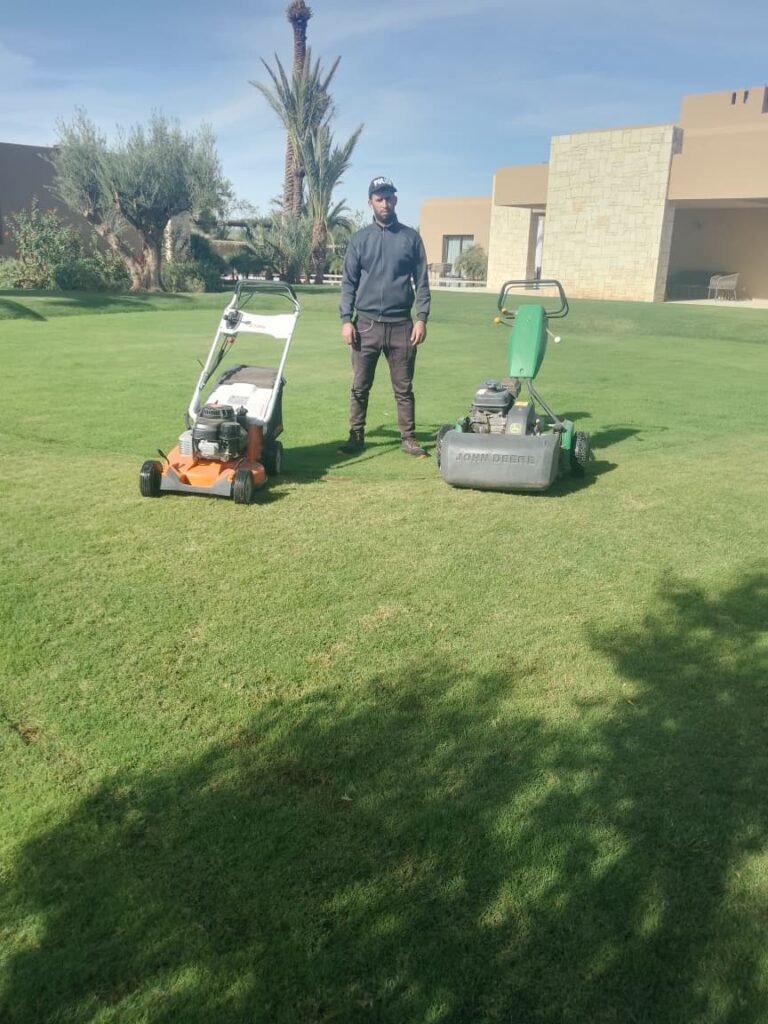 Garden Maintenance Contract Marrakech: Monthly Care