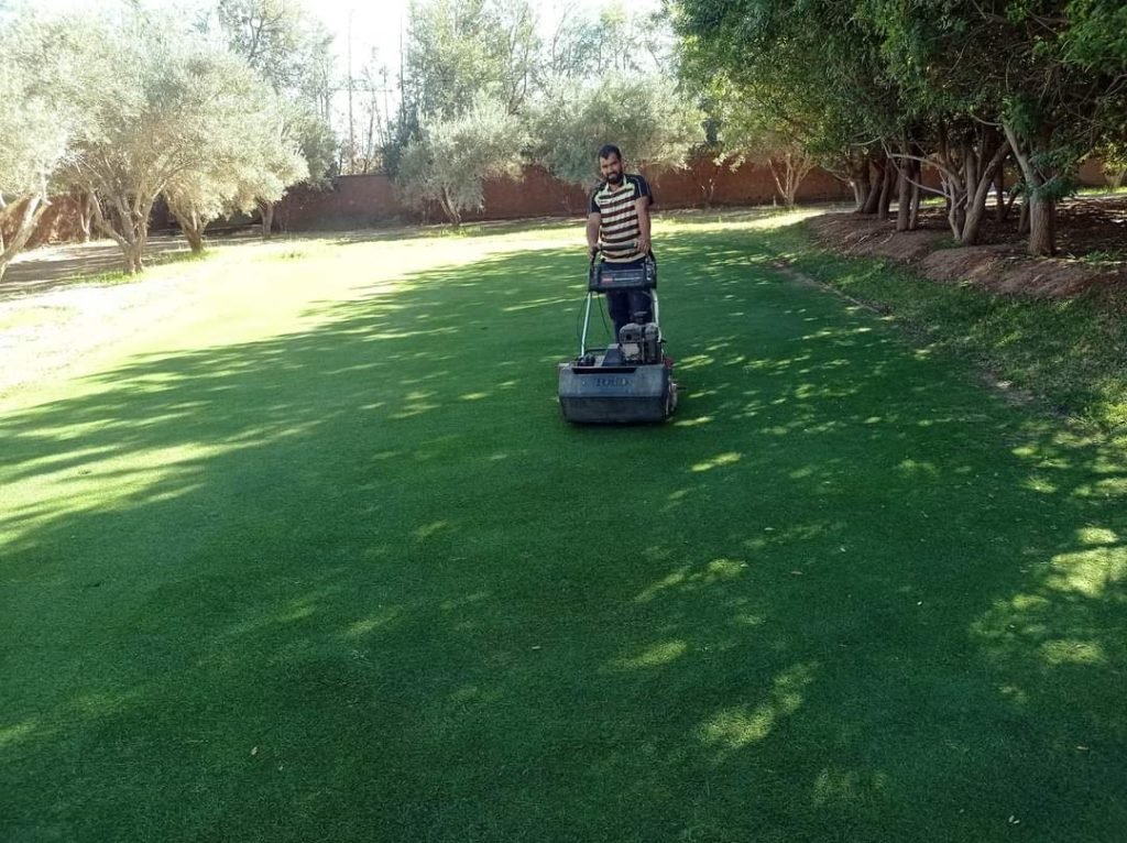 Tonte de gazon à Marrakech : entretien professionnel pour jardins de villas