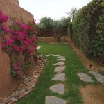 garden-maintenance-marrakech-garden-path-stepping-stones-bougainvillea-lawn-care-49