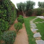 garden-maintenance-marrakech-lawn-edging-hedge-maintenance-garden-border-care-54
