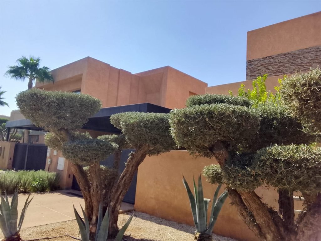 Entretien de jardin à Marrakech : taille artistique, olivier et jardin sec