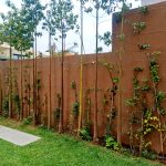 mantenimiento-jardines-marrakech-trepadoras-en-muro-tutores-riego-08