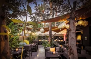 Amenagement-Terrasse-Rooftop-Marrakech-_-Jardinier-Vegetalisation-Urbaine-1