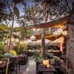 Aménagement Terrasse & Rooftop Marrakech _ Jardinier Végétalisation Urbaine (1)