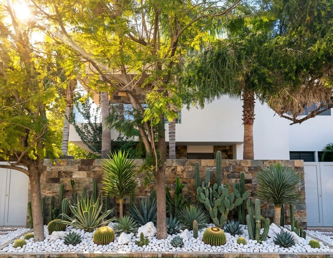 Jardin Sec Marrakech apres