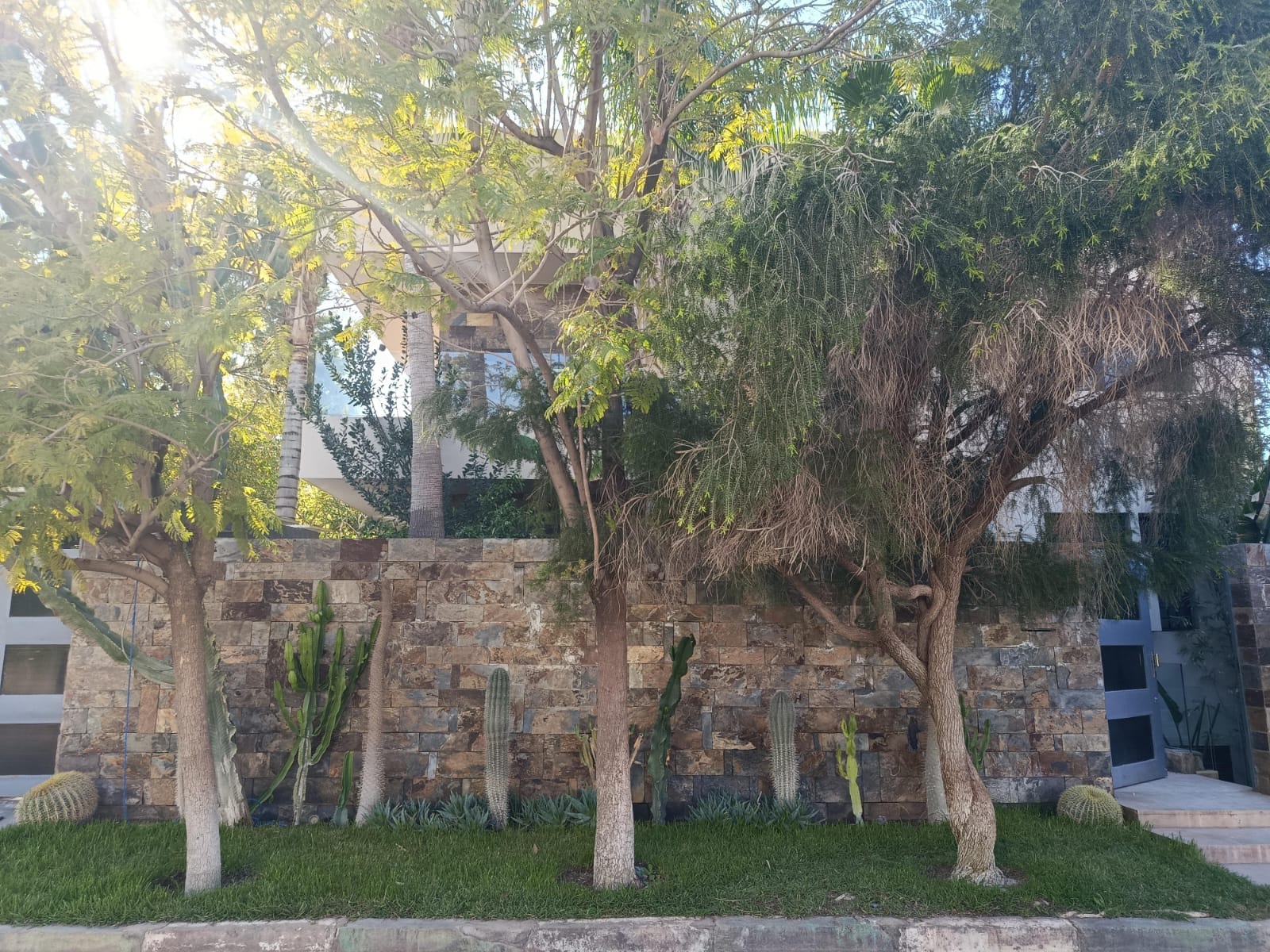 Jardin Sec Marrakech avant