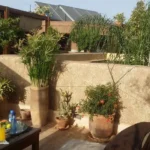 Jardinier Végétalisation Urbaine