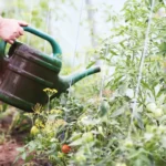 Jardinier pour Création Légumes & Herbes Bio