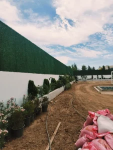 Mur Végétal Marrakech _ Paysagistes Diplômés pour Création et Entretien