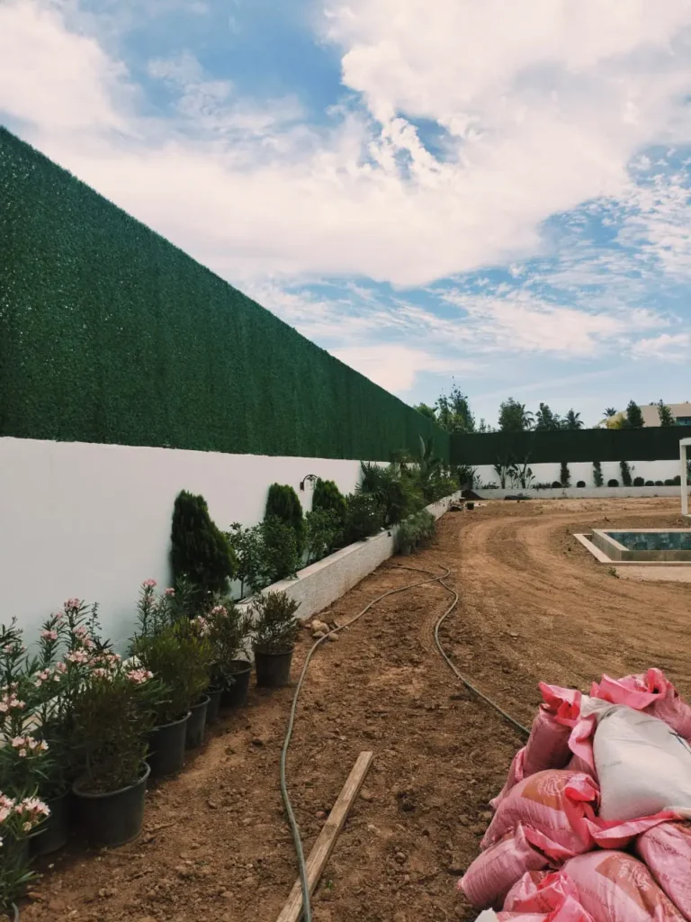 Mur Végétal Marrakech : Paysagistes Diplômés pour Création et Entretien