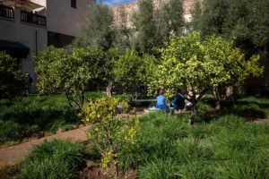 a couple of people sitting on a bench in a park