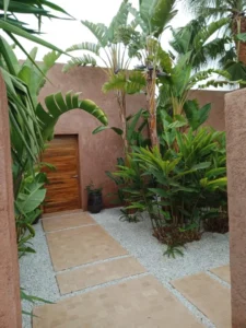 entretien-jardin-marrakech-amenagement-allee-galets-plantes-tropicales-32