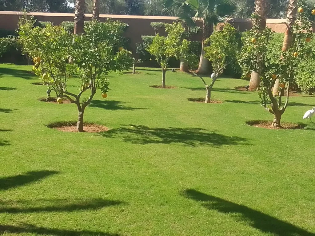 Jardinier Route de l&rsquo;Ourika Marrakech : Entretien Domaines & Résidences Golfiques