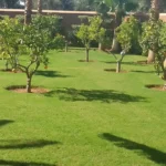 Jardinier Route de l'Ourika Marrakech : Entretien Domaines & Résidences Golfiques