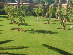 Jardinier Route de l'Ourika Marrakech : Entretien Domaines & Résidences Golfiques
