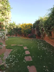 Décoration Végétale Événement Marrakech : Jardinier pour Mariages & Réceptions