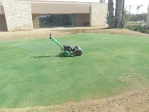 Jardinier Hivernage Marrakech