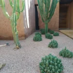 Jardin Sec Marrakech