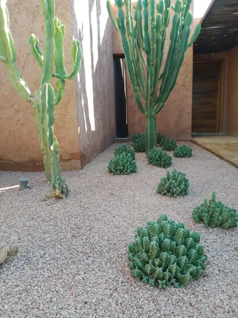 Jardin Sec Marrakech
