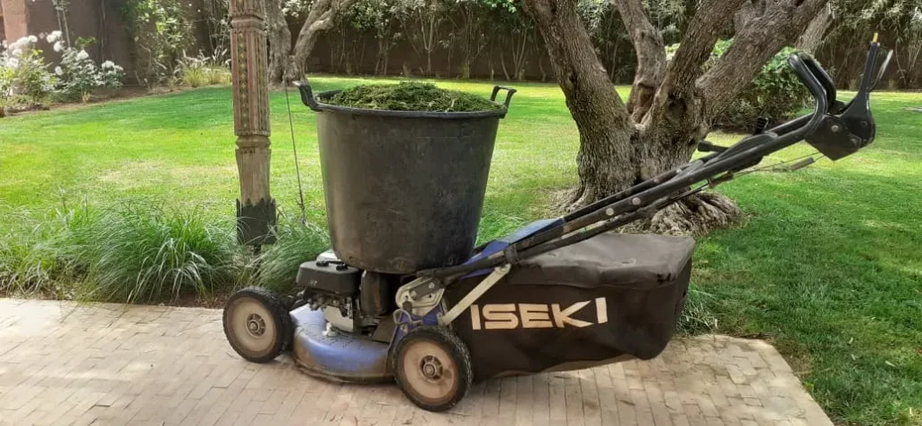 Jardinier Riad Médina Marrakech