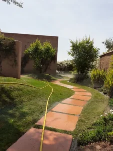 Arrosage & Irrigation Marrakech : Jardinier pour Installation Goutte-à-Goutte