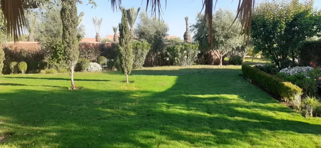 Jardinier Guéliz Marrakech : Entretien Terrasse & Jardin en Centre-Ville