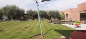 Création de Jardin Marrakech : Jardinier Paysagiste & Aménagement Sur-Mesure