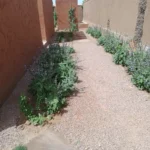 garden-maintenance-marrakech-side-walkway-gravel-low-water-landscape-47