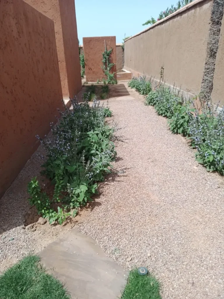 garden-maintenance-marrakech-side-walkway-gravel-low-water-landscape-47