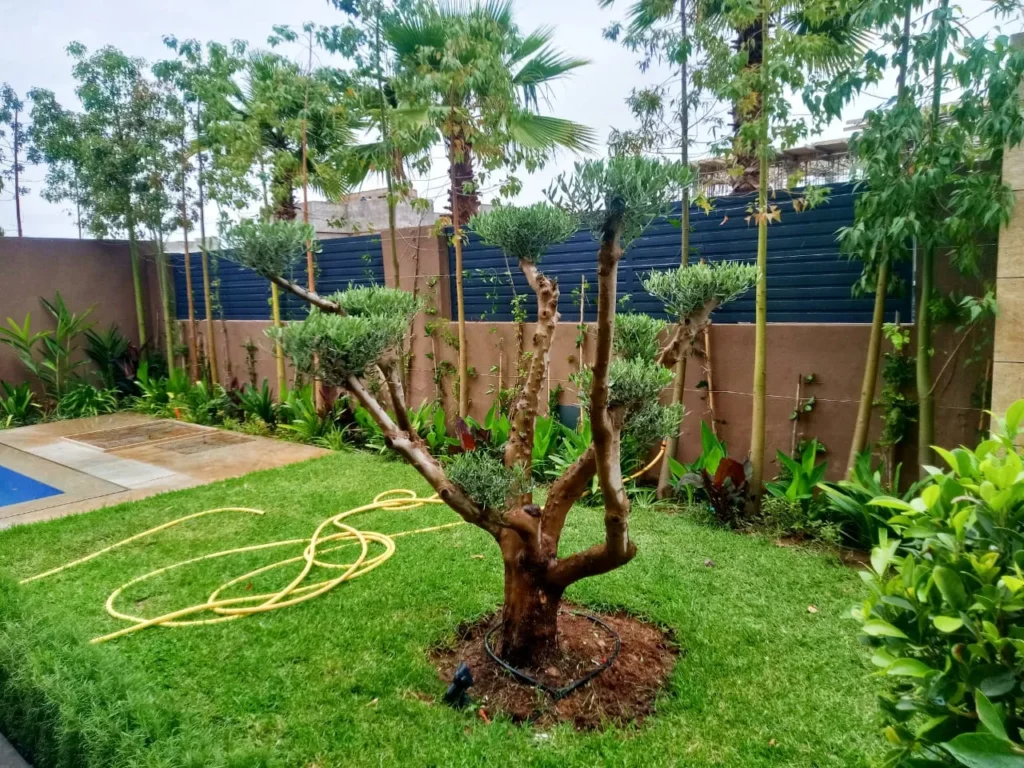 Conception de Jardin Marocain Traditionnel à Marrakech par Nos Paysagistes Diplômés