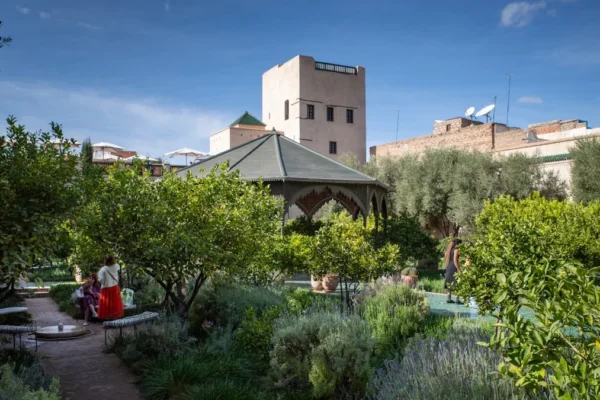 a couple sitting on a bench in the middle of a garden