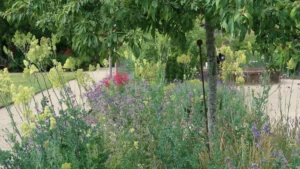 Wildflowers and trees decorate a tranquil garden.
