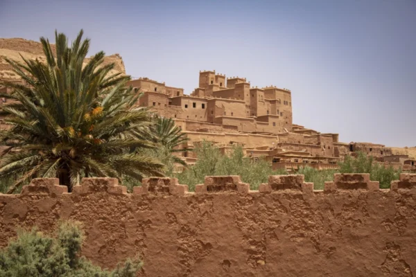 A desert landscape with a palm tree in the foreground