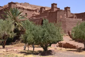 Aït Benhaddou, an ancient village along the former caravan route between the Sahara and Marrakech, it has been a UNESCO World Heritage Site since 1987. An extraordinary complex of buildings offering a complete panorama of pre-Saharan building techniques and a miniature striking typology architecture of southern Morocco.