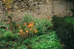 Stone wall behind a lush garden with autumn leaves.