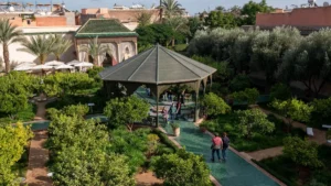 a group of people walking around a lush green park