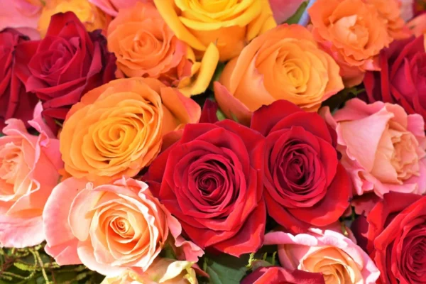 Multicolor Rose Bouquet