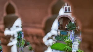 Please let me know if you like my photos :)