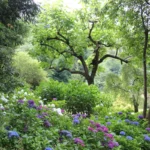 Villa Carlotta