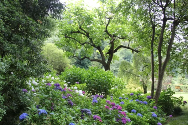 Villa Carlotta