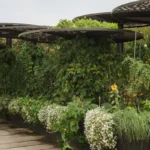 a garden with potted plants
