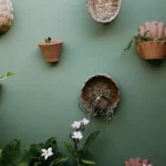 Various potted plants and greenery against a green wall.