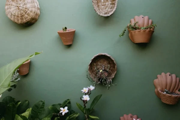 Various potted plants and greenery against a green wall.