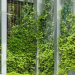 Green vines climb a modern building's facade.