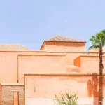 Orange buildings with a palm tree under blue sky